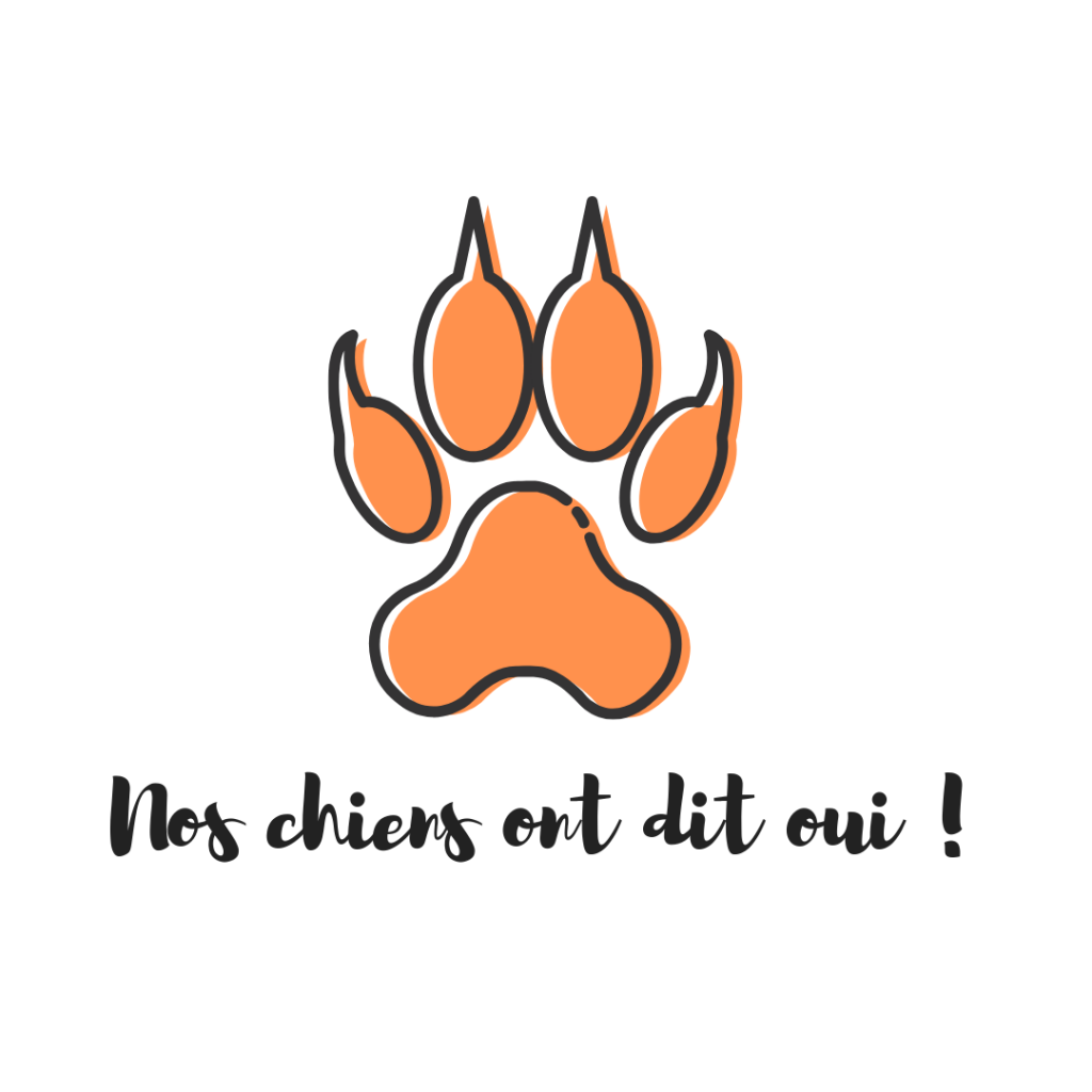Instinct de Chien Boutique I vente de matériel, d'accessoires et de friandises pour votre chien