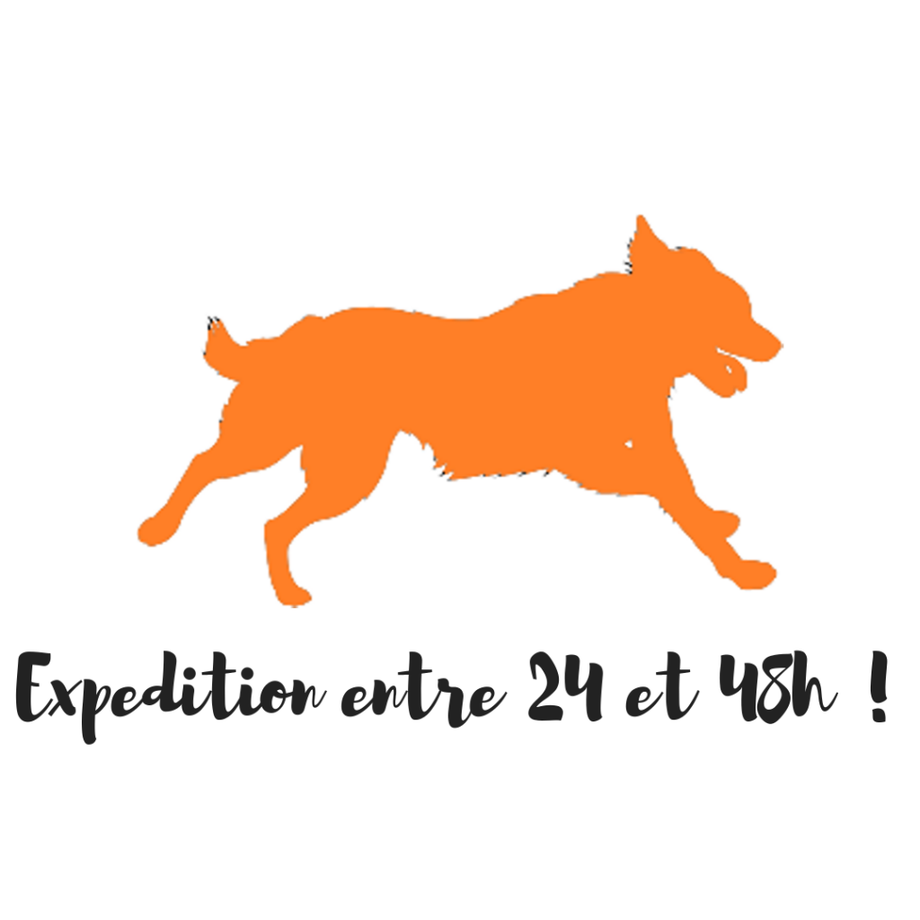 Instinct de Chien Boutique I vente de matériel, d'accessoires et de friandises pour votre chien